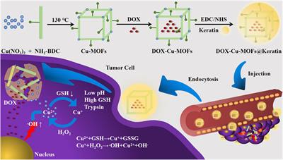 Multi-stimuli responsive Cu-MOFs@Keratin drug delivery system for chemodynamic therapy